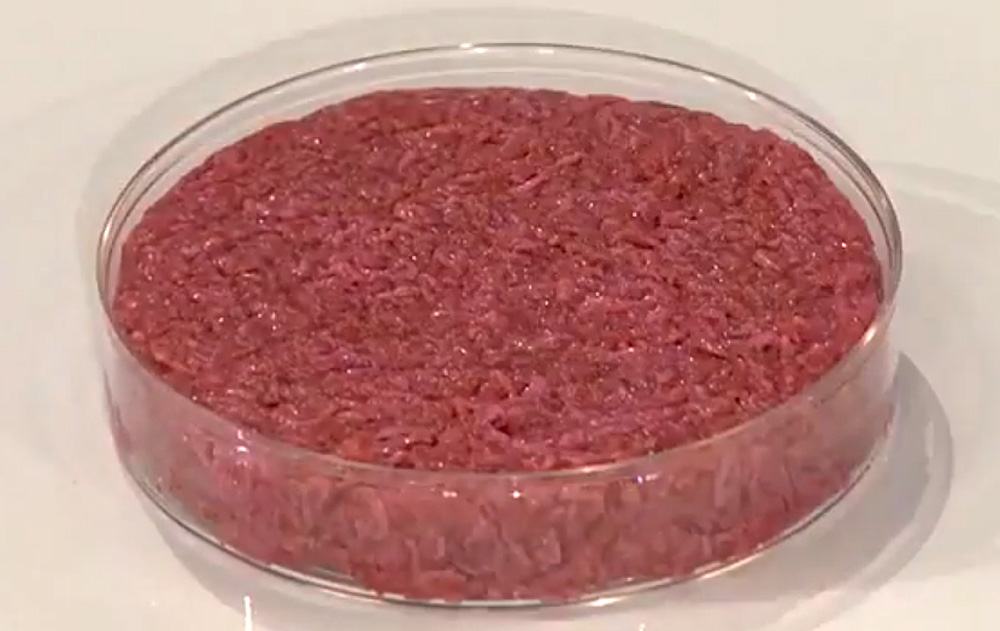 La carne coltivata in laboratorio di Bill Gates