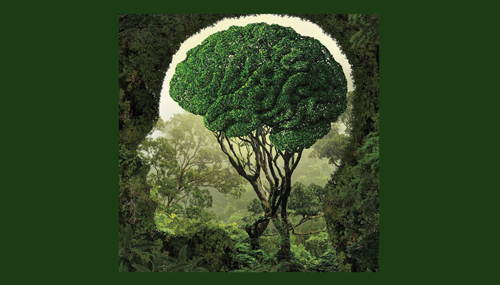 Eco – logica – mente